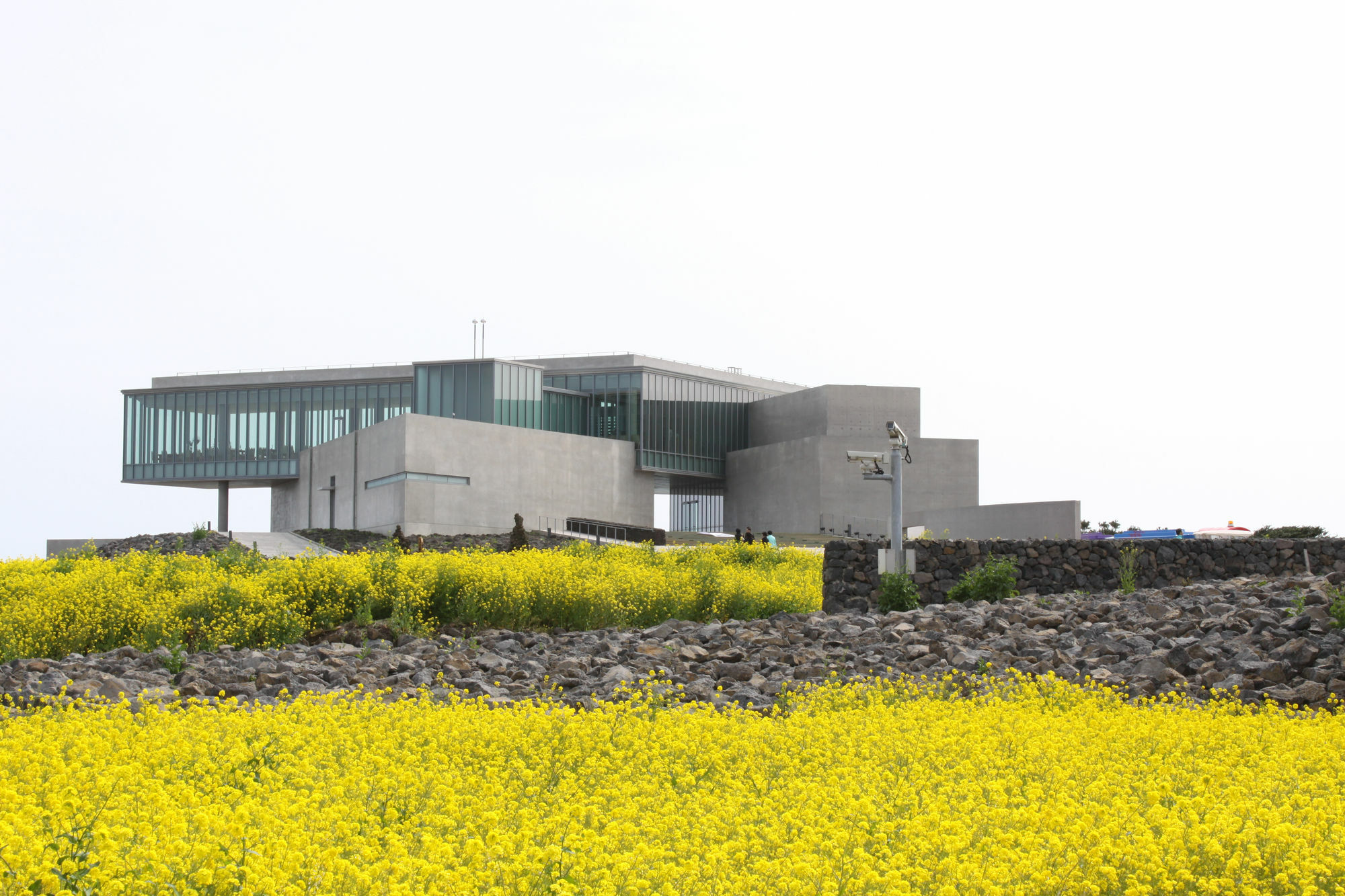 Phoenix Island Hotel Seogwipo Exterior foto