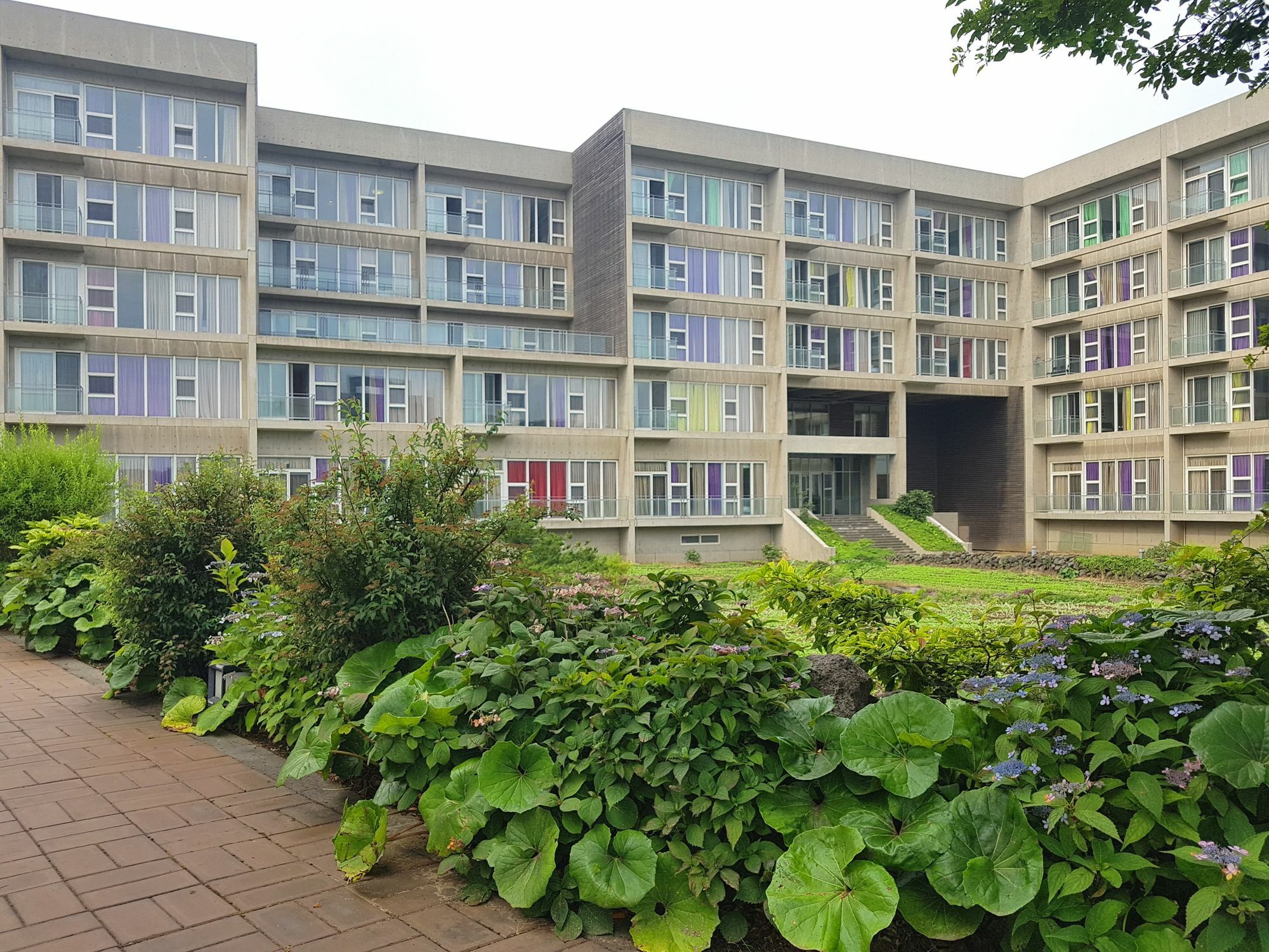 Phoenix Island Hotel Seogwipo Exterior foto